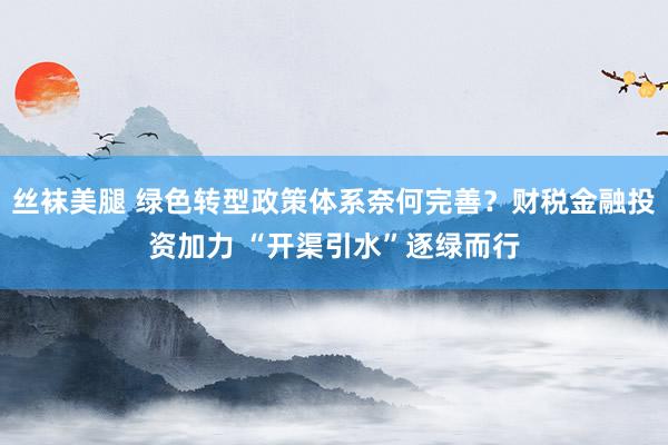 丝袜美腿 绿色转型政策体系奈何完善？财税金融投资加力 “开渠引水”逐绿而行