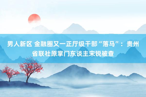 男人新区 金融圈又一正厅级干部“落马”：贵州省联社原掌门东谈主宋锐被查