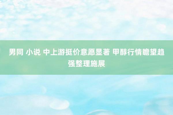 男同 小说 中上游挺价意愿显著 甲醇行情瞻望趋强整理施展