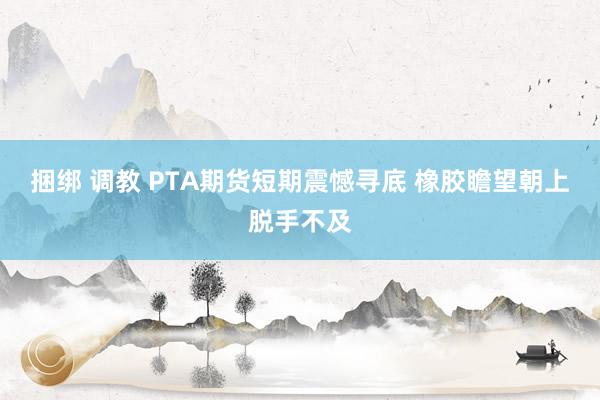 捆绑 调教 PTA期货短期震憾寻底 橡胶瞻望朝上脱手不及