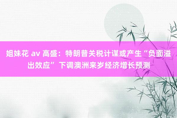 姐妹花 av 高盛：特朗普关税计谋或产生“负面溢出效应” 下调澳洲来岁经济增长预测
