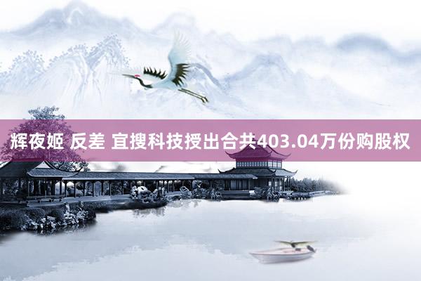 辉夜姬 反差 宜搜科技授出合共403.04万份购股权